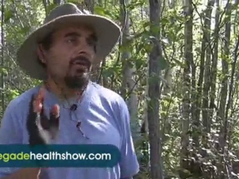How to Find and Harvest Chaga Mushroom #715