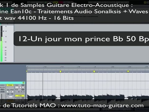 SAMPLES GUITARE ELECTRO ACOUSTIQUE PACK 1