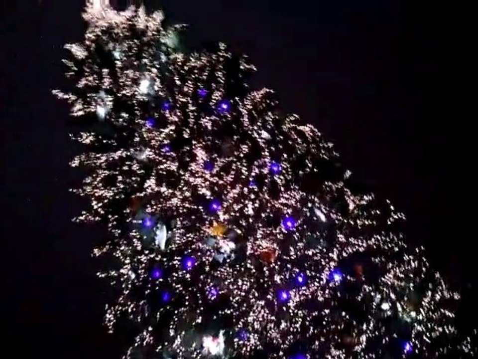 strasbourg sapin noel