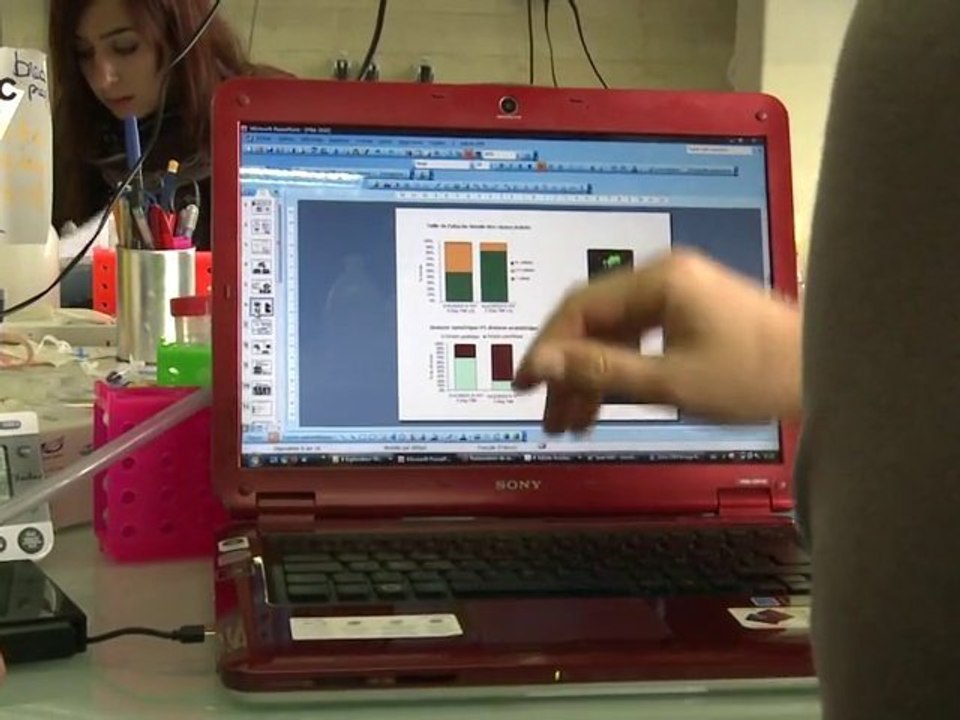 Research on skin cancer: ERC funds studies on stem cells