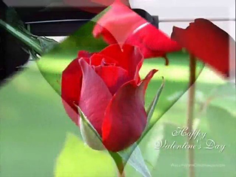 STILL IN LOVE WITH YOU - SHERBET