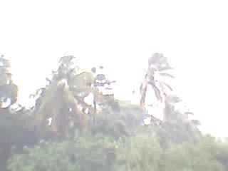 Pluie tropicale