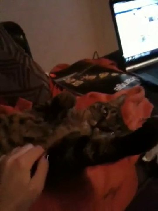 que c'est bon les gratouilles !