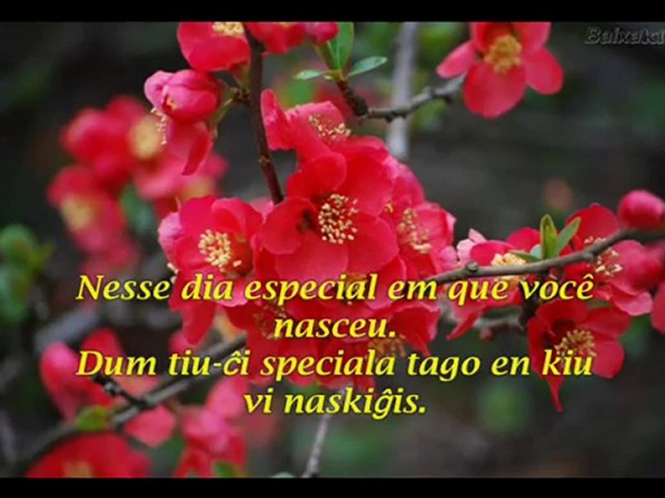 Feliz aniversário meu amor...al mia karulino Ambirdeto.