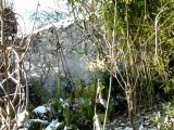 Sculptures-Vivantes en Métamorphoses-Automnales-neigeuses