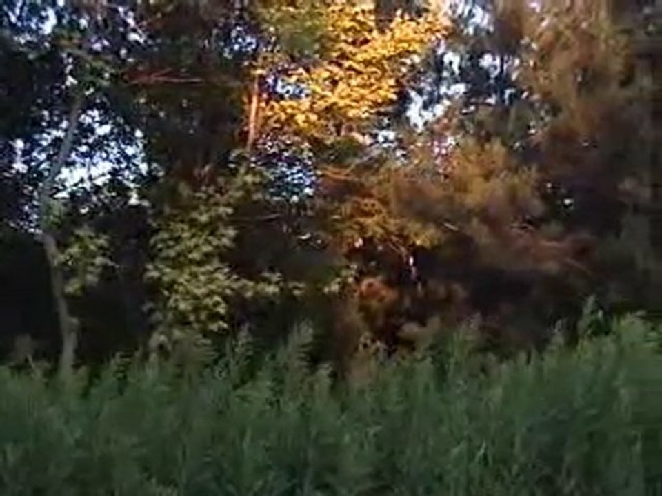 Abdullah Agâh ÖNCÜL - 2006 - DOĞA