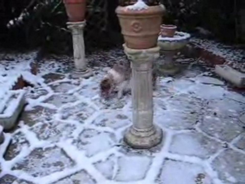 flyer découvre la neige decembre 2010