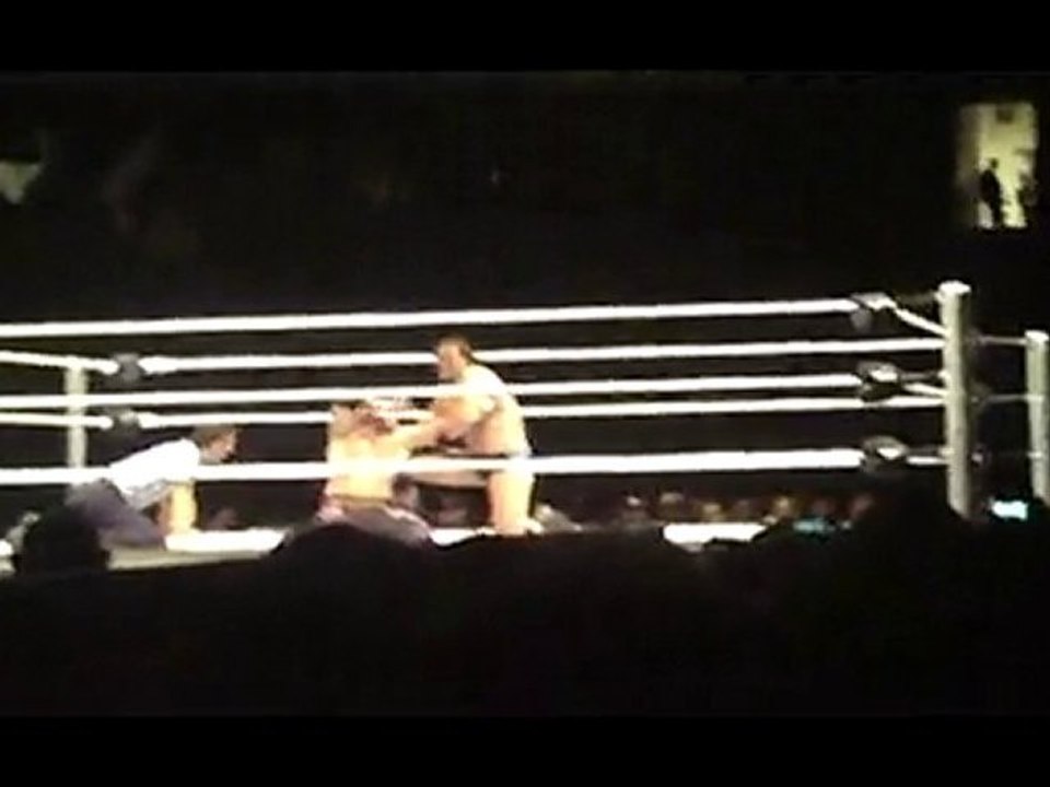 WWE World Tour