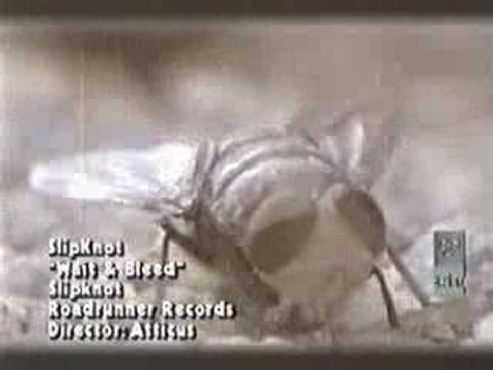 (Videoclip) SlipKnot - Wait And Bleed