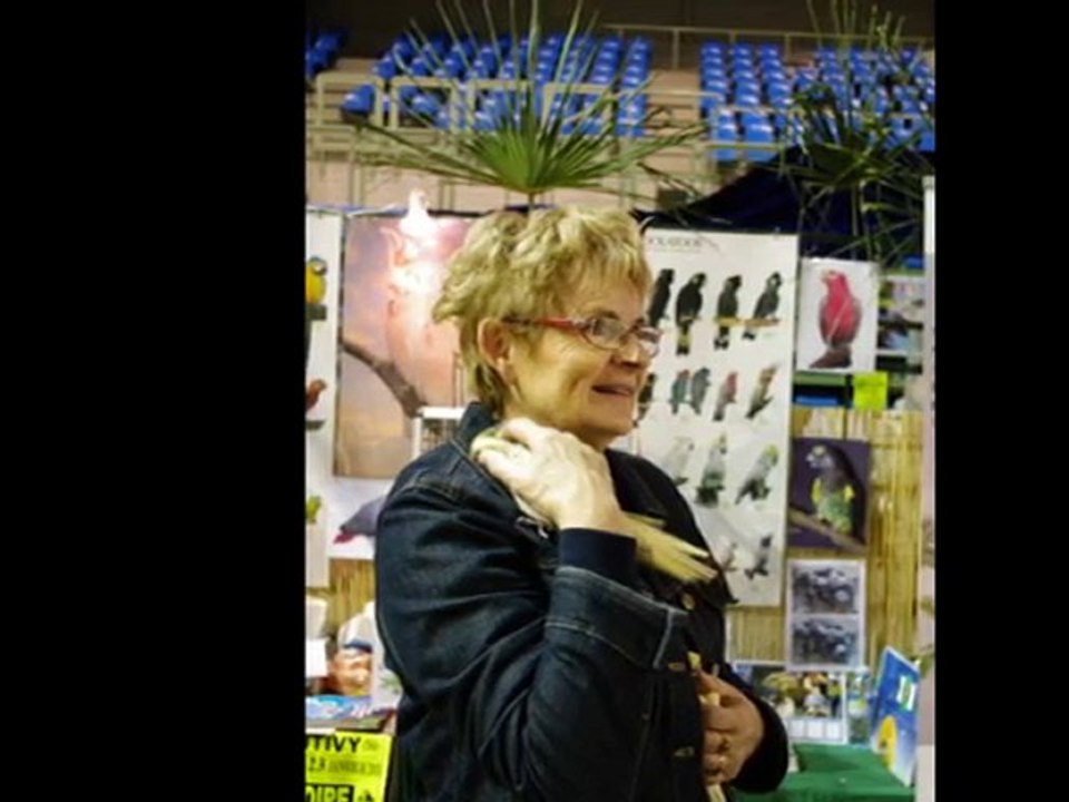 Expo d'orchidées + oiseaux ( dome de VILLEBON )