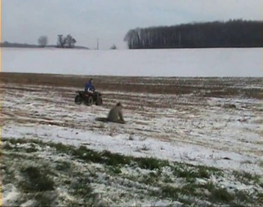 Apres midi neige - Capot tiré par le quad !