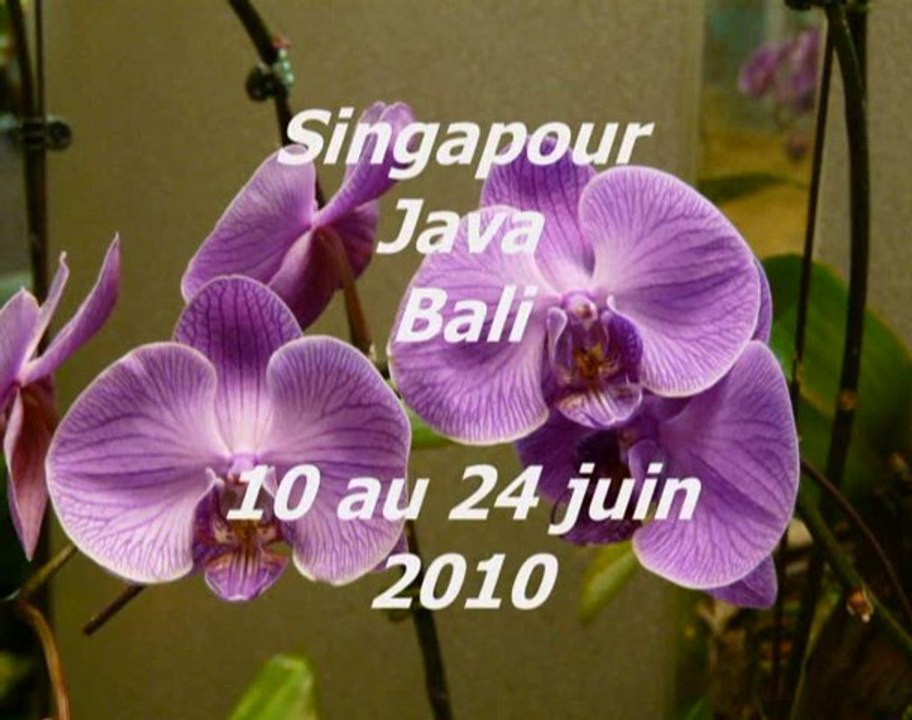 Java & Bali 2010 (1/2), par  FG