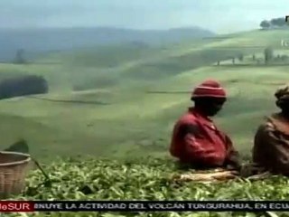Pobreza rural extrema disminuye en el mundo pero temen por cambio climático