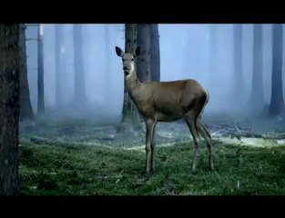 Medio Tiempo.com - Nike: Ribery