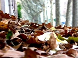 Test Canon HV30 à Lyon