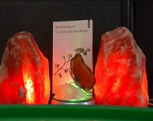 krishnamurti le sens du bonheur 33 et fin !
