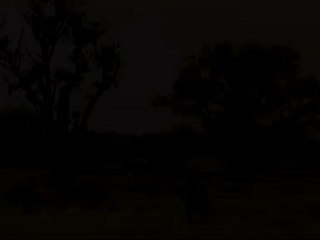 L'Afrique Terre de Sciences (version française) 1ère partie