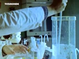 La Grande Histoire des gènes 2/3