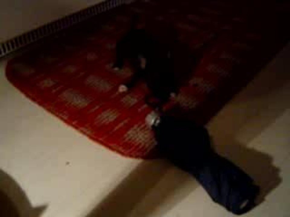 Lily la folle