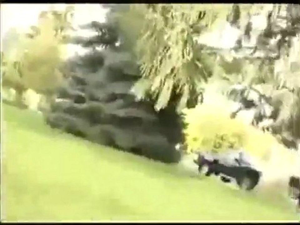 Crazy Old Lady Attacks Skateboarders