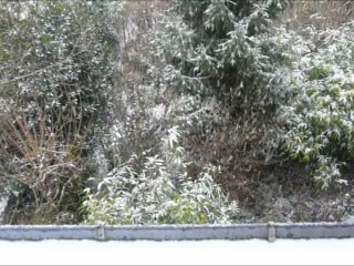 Mardi 7 décembre 2010 à 12h00