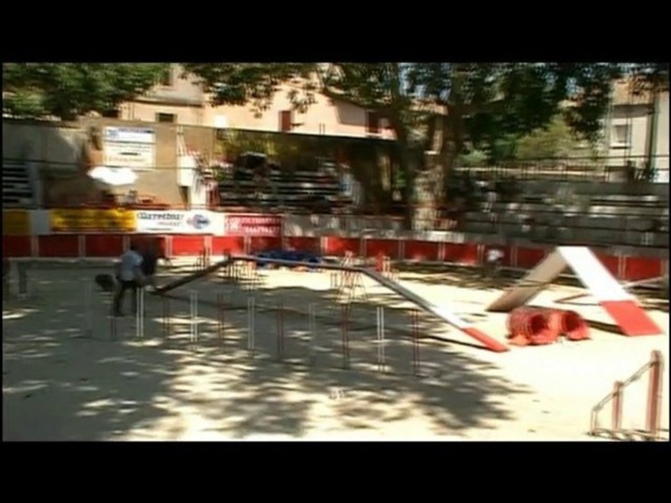 Le Bêtisier 2010