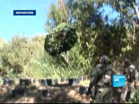 The Emerald Triangle: the three biggest marijuana growers