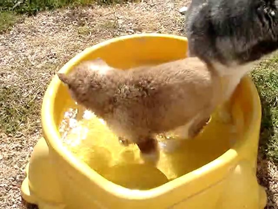 MOV02681