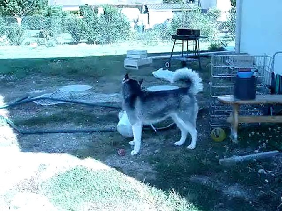 MOV02725