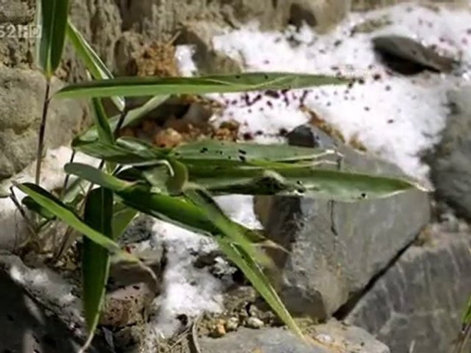 PlanetPhim_KeSanNoLe-14c