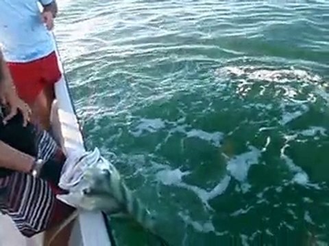 Costa Rica Fishing Pez Gallo Samara Fishing Trip