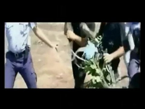 solomos solomou kypros