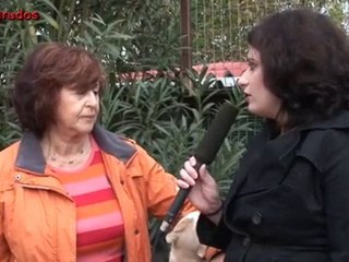 On The Road: Ιστορίες Τετράποδων Αδέσποτων Ψυχών