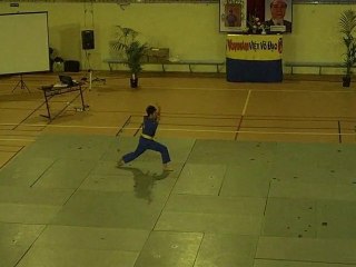 Vovinam Long Ho Quyen
