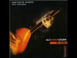 Ali Ekber Çiçek - Unutursun