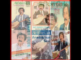 Ali Ekber Çiçek - Gafil Gezme Şaşkın