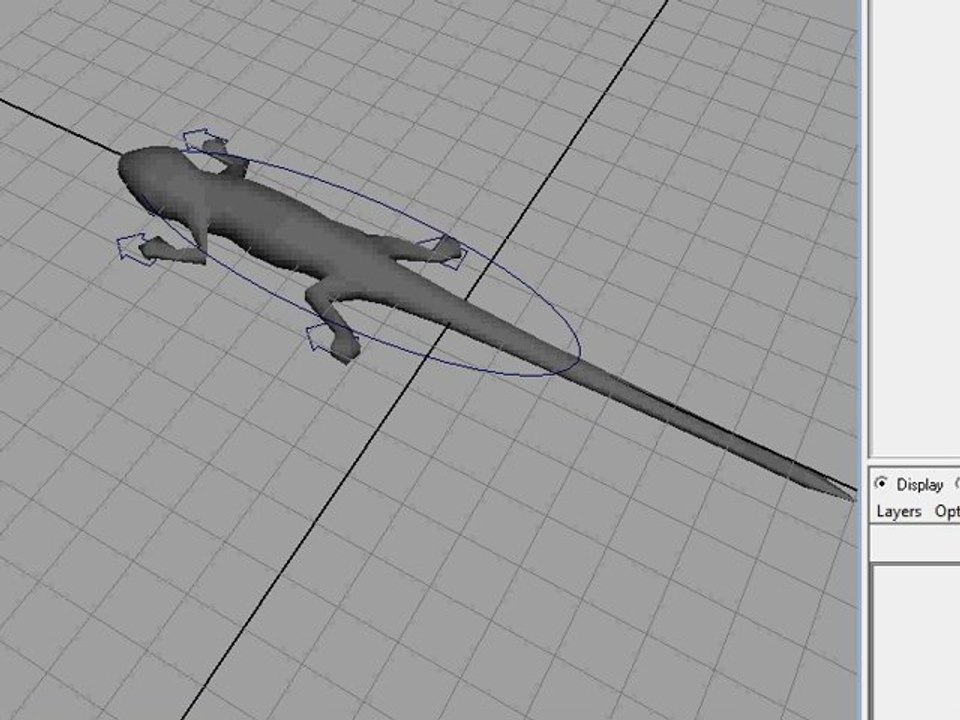 lezard