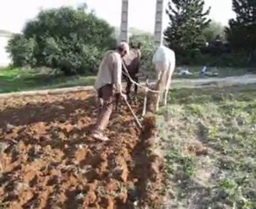 آثار إيجابية للتساقطات المطرية بدوار أولاد يحيى (ياثارش) داخ