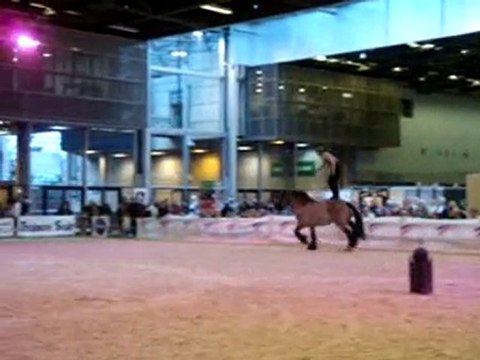 le salon du dada 2010 à villepinte !!!!