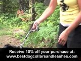 Dog Pulling Leash - Leash for Pulling Dog