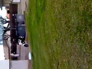 tzr 80rr pas régler x)