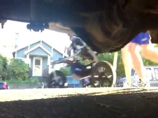 Mr. Petcam - World's First Pet Point-of-View Video Camera!