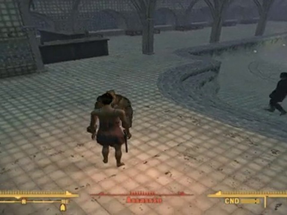 Fallout: New Vegas ~ Assassin