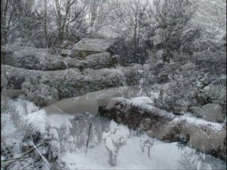 The Blanket of Winter - A Video poem By Linda Vale Martin