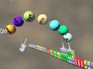 Mystère Science - La Translecture D'Un Codon Stop