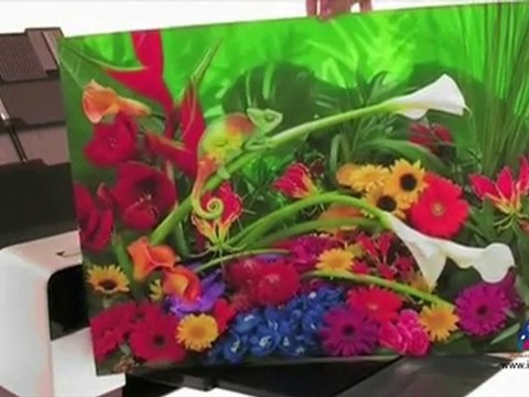 Epson Stylus Pro 3880 with CISS