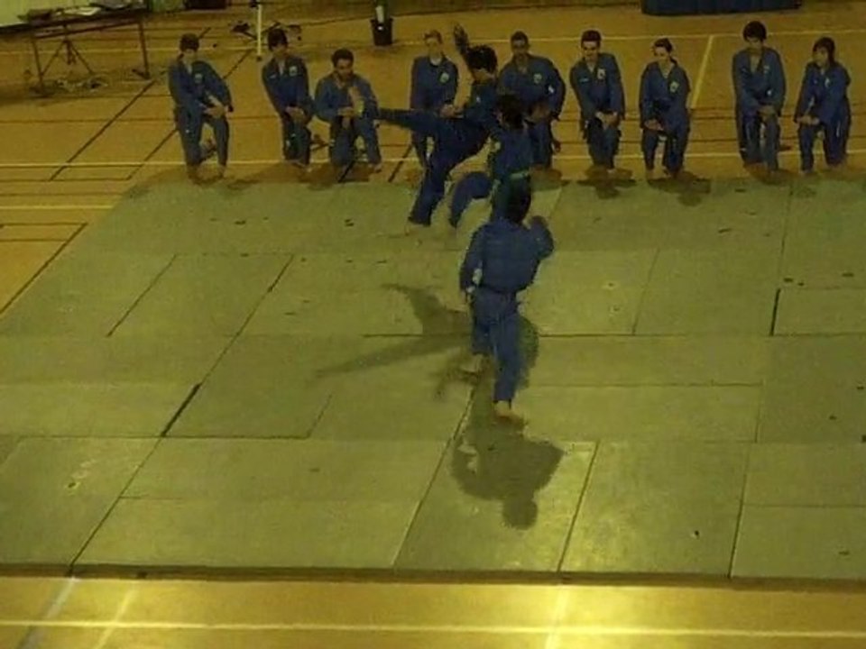 Vovinam Self défense féminin