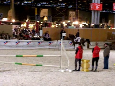 Premiers sauts des trois étalons du SL en saut monté...