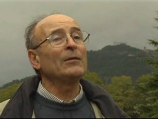 The world's tallest Christmas tree