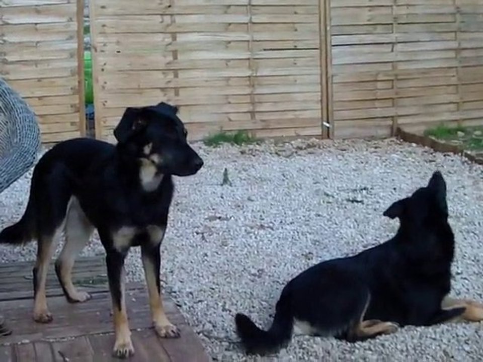 DVCI0002_test_caméra